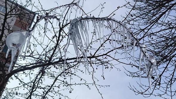 Kars'ta ağaçlar buz tuttu