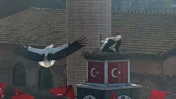 Can ve Canan leylek, 2'nci yıllarında da İznik'teki yuvalarında buluştu