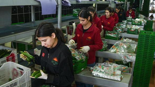 Türkiye'nin sebze tüketiminin yarısını karşılayan Antalya Hali'nden 64 ülkeye ihracat