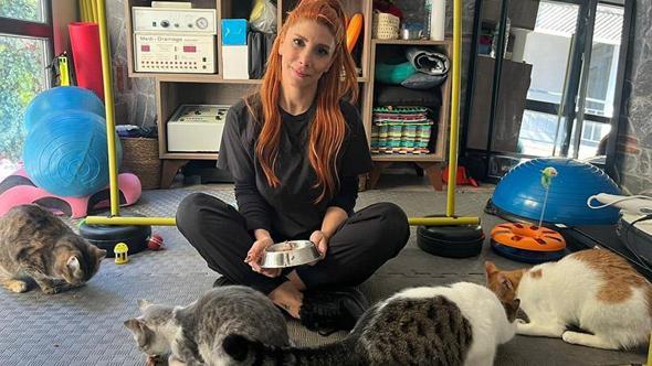 Fizik tedavi gören felçli 4 kedi için yuva arayışı