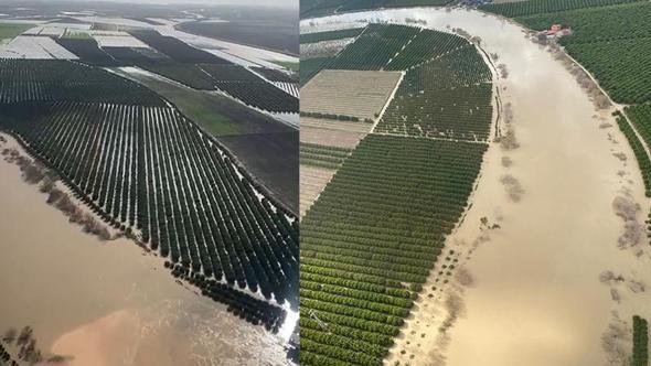 Adana’da tarım arazileri su altında kaldı; ‘Üreticiler yeniden ekim yapacak’