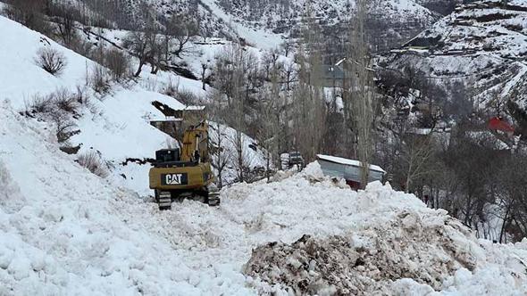 Yüksekova'da köye düşen çığ korkuya neden oldu