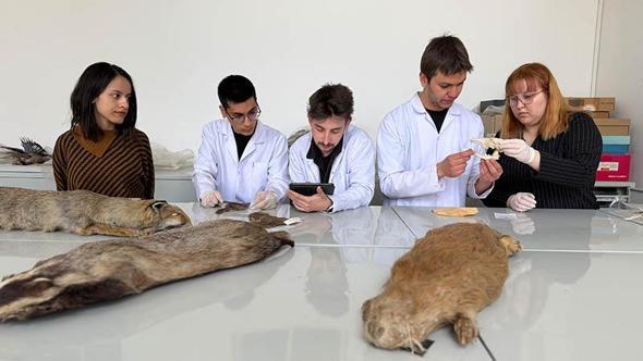 Doğada ölü bulunan hayvanlar üzerinde genetik inceleme