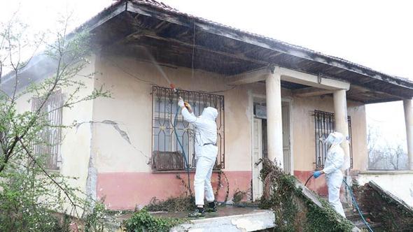 Kahverengi kokarcalar kışlaklardan çıkmadan imha ediliyor