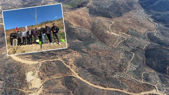 Bursa'da yanan ormanlara 8 ayda 2 milyon fidan