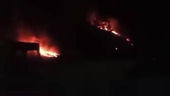 Ormanda çıkan örtü yangını söndürüldü