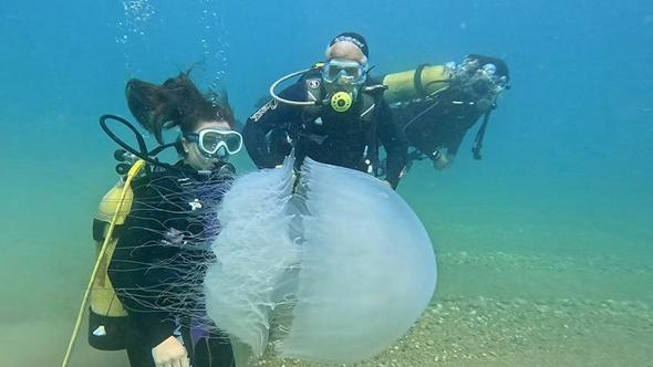 Antalya Körfezi'nde poyraz etkili oldu, denizanaları kıyıya sürüklendi
