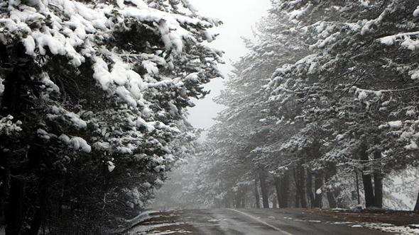 Abant, beyaz örtüyle kaplandı