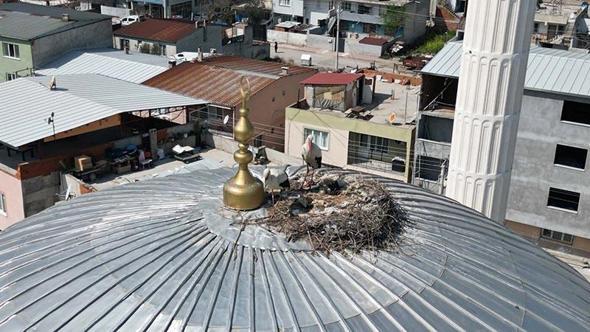 6 yıldır aynı yuvaya dönüyorlar