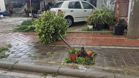Bodrum’da tam fırtına günlük yaşamı olumsuz etkiledi