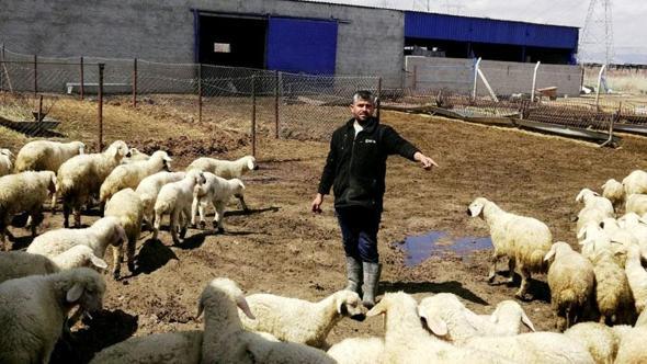 80 bin lira maaşla çalıştıracak çoban bulamıyorlar