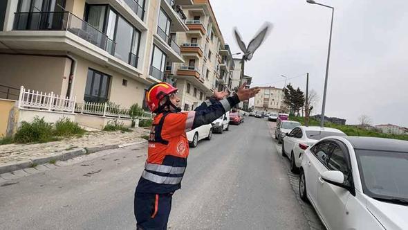 Avcılar'da havalandırma boşluğuna düşen güvercin ve martıyı itfaiye kurtardı