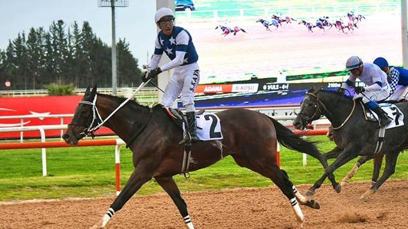 Adana’da Akdeniz Derbisi’nin kazananı ‘Dapper Man’ oldu