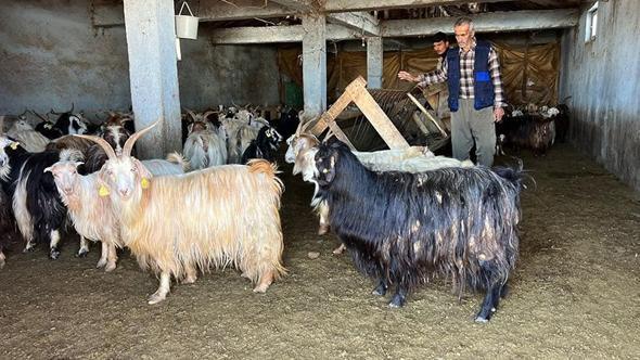 Yüksekova'da kar besicileri zorluyor; hayvanlar meraya çıkamadı