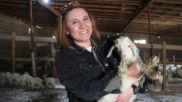 Devlet desteğiyle kurduğu çiftlikte 6 yılda 1300 Ankara keçisine ulaştı