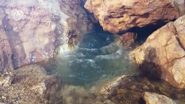 Cennet Mağarası'nda 13 yıl sonra gölet oluştu