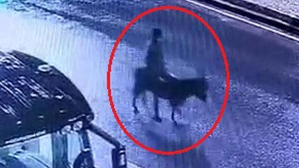 Kuyumcu dükkanından ziynet eşyası çalıp, eşekle kaçan sanığın verdiği zarar hesaplanacak