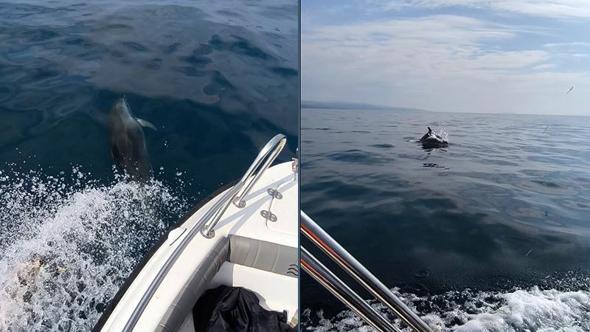 Saros’ta teknenin yanında yüzen yunuslar kamerada