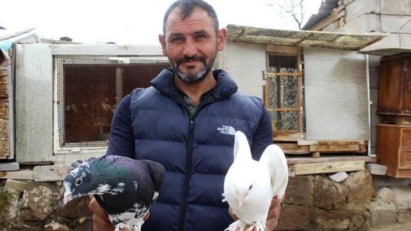 Hobi olarak başladığı güvercin tutkusunu 35 yıldır sürdürüyor