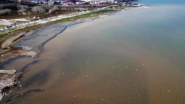 Van Gölü kıyılarında suyun rengi kahverengiye döndü
