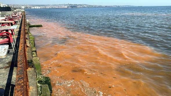 Tekirdağ sahilinde alg patlaması nedeniyle deniz turuncu renge büründü