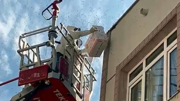 Oğul veren bal arıları nedeniyle yaya ve araç trafiği durdu