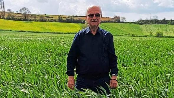 Edirne’de hububatta ‘kök çürüklüğü’ hastalığı görüldü