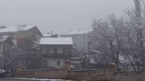 Posof'ta kar yağışı etkili oldu