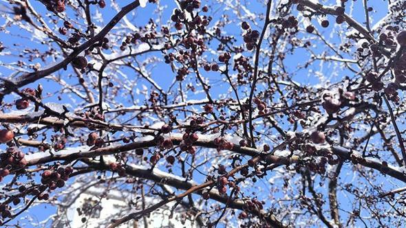 Kars'ta kar yağışı etkili oldu