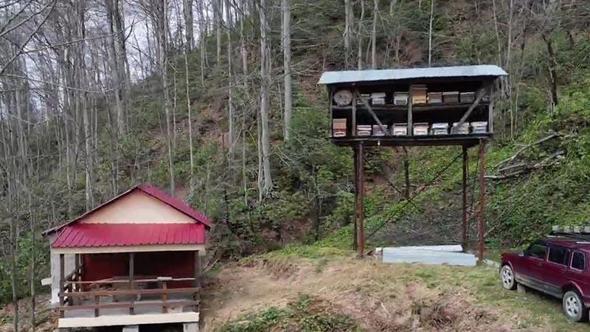 Ayının, demir direğe tırmanıp kovanlara ulaşmaya çalıştığı anlar kamerada