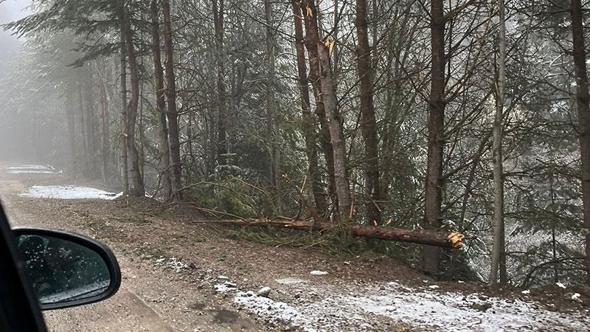 Bolu'nun yükseklerinde mayıs karı