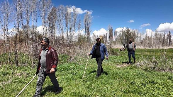 Çiftçilerin yaban domuzu nöbeti