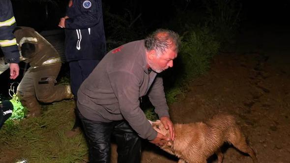 Bursa'da taşan dere çiftliği bastı: Mahsur kalan çiftçi ve köpeği kurtarıldı
