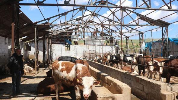 Fırtınada devrilen duvarın altında kalan besici: Sağ çıktığım için şükrediyorum