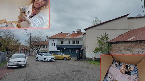 Kurdukları dernekle ev kiralayıp, sokak kedilerine yuva oldular