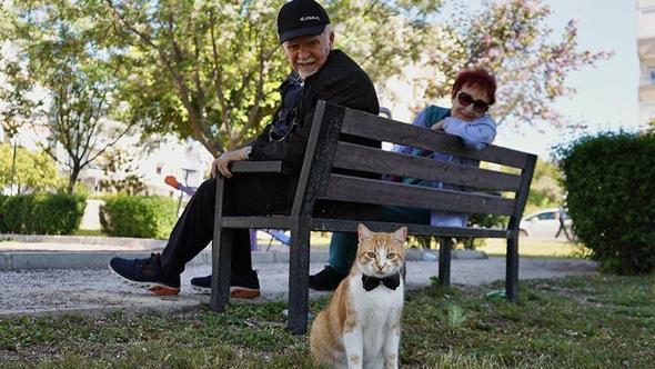 Papyonlu kedi 'Foça', emekli çiftin hayatını değiştirdi