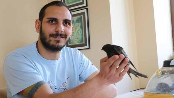 Yaralı bulunan ebabiller tedavi edilip doğaya salındı