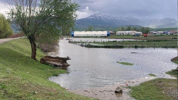 Erzincan'da aşırı yağış, ekili arazileri vurdu