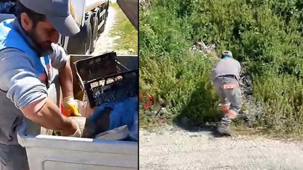 Çöp konteynerine atılan kaplumbağa kurtarıldı