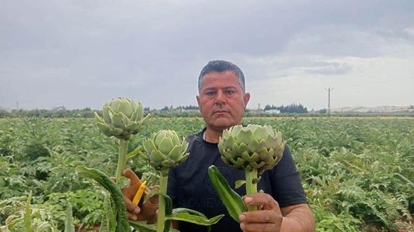 KKTC'de ilk kez yediği enginarı memleketinde üretti
