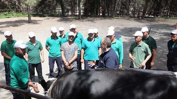 Gaziantep'te 'kurban yakalama timi' göreve hazır