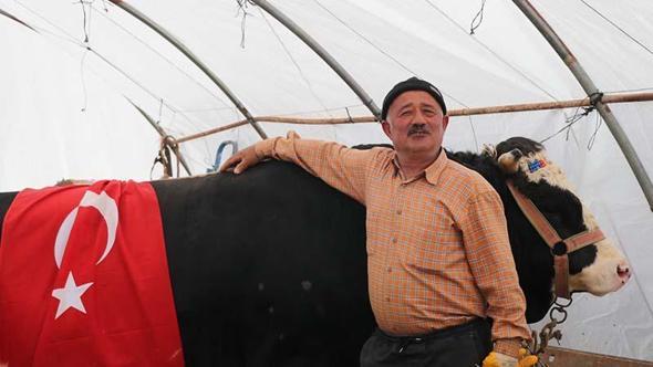 Kayseri'de kurban pazarının en büyüğü 1 tonluk boğa ‘Paşa’, 420 bin liraya satıldı
