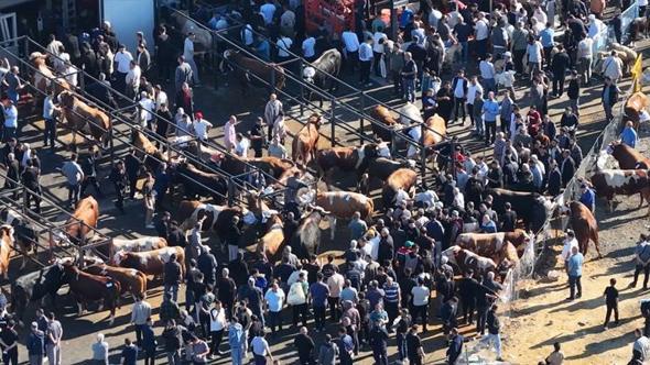 Sultangazi'de kurban kesim alanındaki yoğunluk havadan görüntülendi