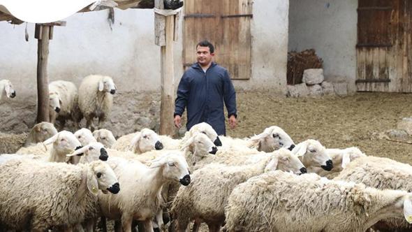 Hayvan sevgisiyle sağlığına kavuştu; köyüne dönüp modern tarım ve hayvancılığa başladı
