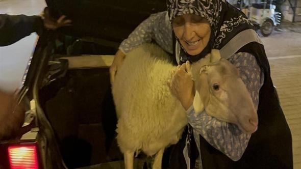Kaçan kuzuya benzetilen ‘Çorap’, kurbanlık olmaktan son anda kurtuldu
