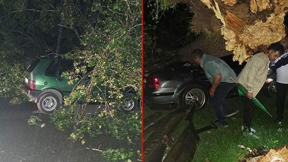 Bartın'da fırtına; ağaçlar devrildi, araçlar zarar gördü