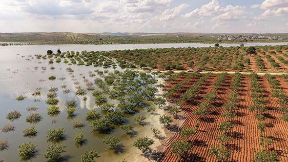 Su altında kalan fıstık bahçeleri dronla görüntülendi