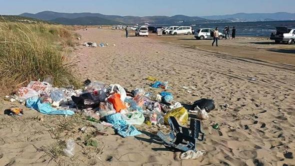 'Deniz kaplumbağalarının yuvalama alanı kıyı kumullar tehlike altında'