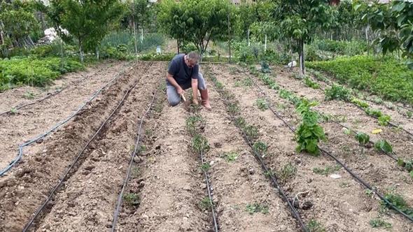 Artvin’de eğitimciler hobi bahçelerini üretim alanına dönüştürdü