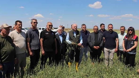 TZOB Genel Başkanı Bayraktar: Buğday rekoltesinin 23 milyon tona yaklaşmasını bekliyoruz